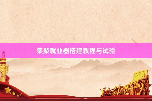 集聚就业器搭建教程与试验